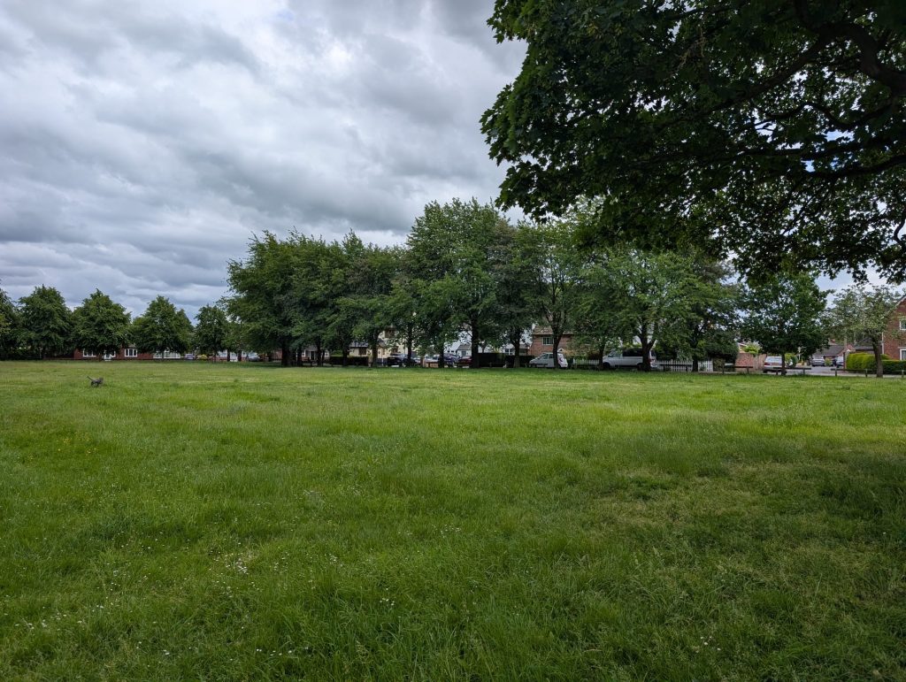 Martinscroft Green Woolston