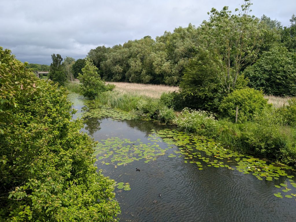 View from the bridge in Sankey Valley Park, Warrington